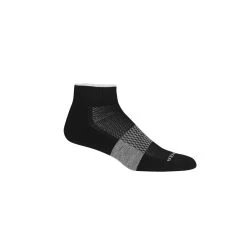 Icebreaker Multisport Light Mini Men Sneakersocken